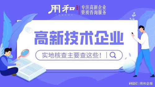 用和咨詢 2022年高新技術企業實地核查查什么