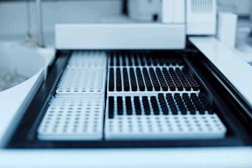 微型計算機硬件系統(tǒng)中最常用的輸出設備